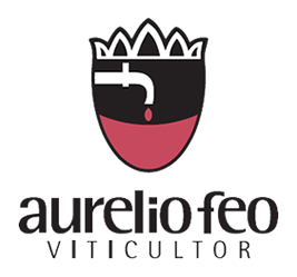 Logo 4