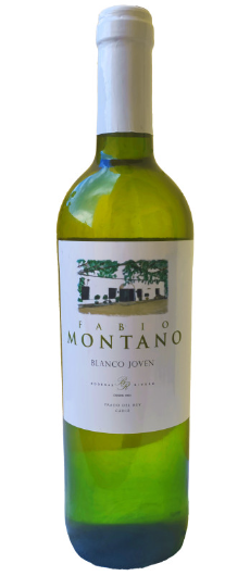 Fabio Montano Blanco 2024